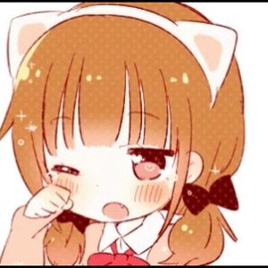 Meet your Posher, Em